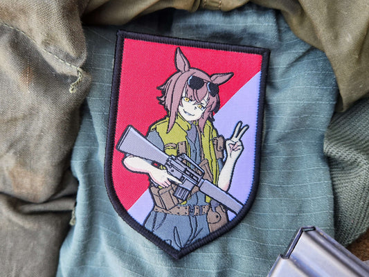 11th Cav NAM